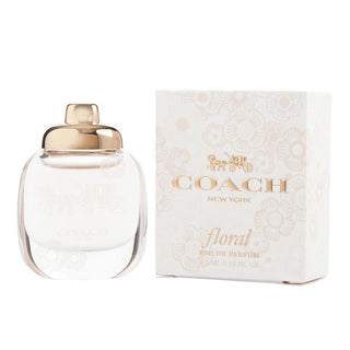 COACHCC004P81__41591.1699543445.1280.1280.jpg
