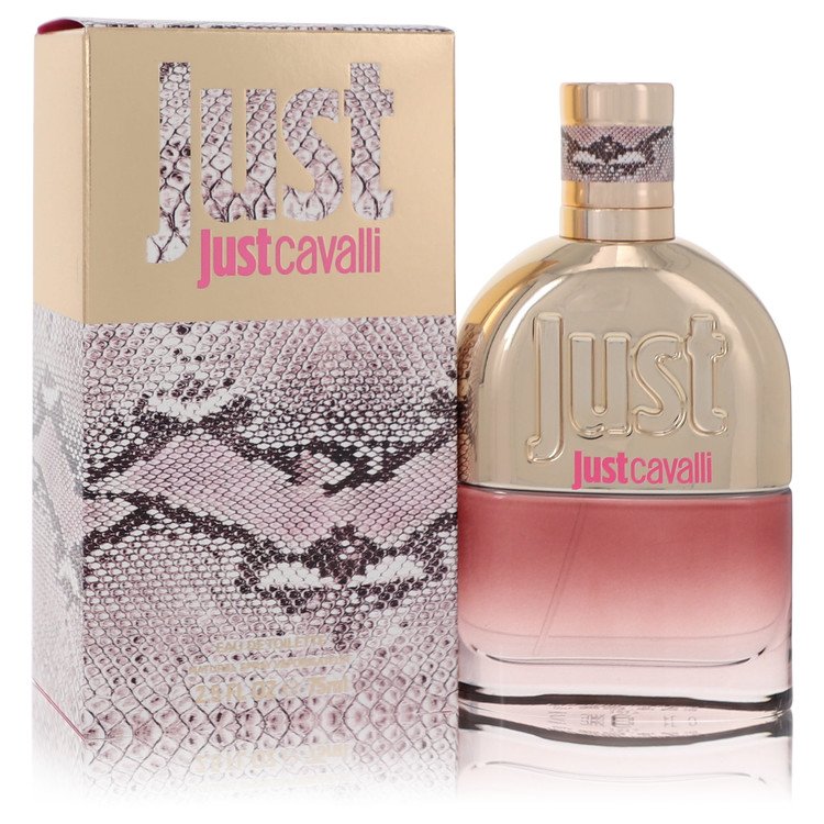 JCAVN25W.jpg