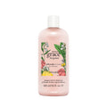 PHILOSOPHY AMAZING GRACE BERGAMOT 16 OUNCES SHAMPOO, BATH & SHOWER GEL- 100% Authentic